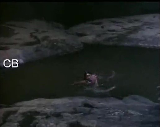 பழைய கேரளா நடிகை ஈரமான துணியுடன் டான்ஸ்